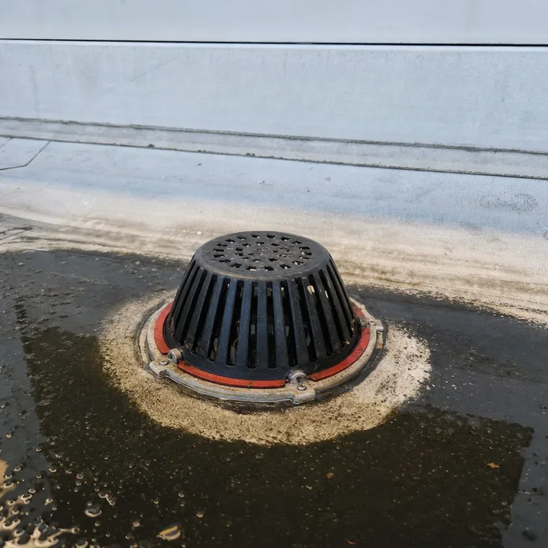 Commercial roof drain with clamping ring and strainer surrounded by signs of ponding and a surface dirt ring